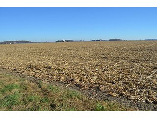 Tracts 4 & 5 - FARMLAND AUCTION - 165.5+/- ACRES OFFERED IN 5 TRACTS OR COMBINATIONS IN EAST ALLEN COUNTY